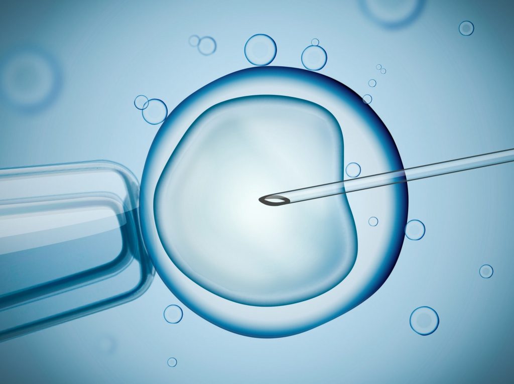 image of a needle injecting an egg