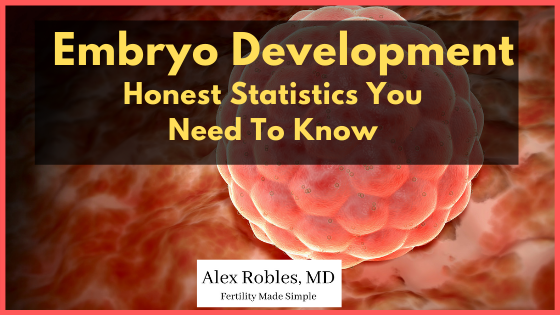 Embryo Development: [Honest Statistics You Need To Know]- cover image