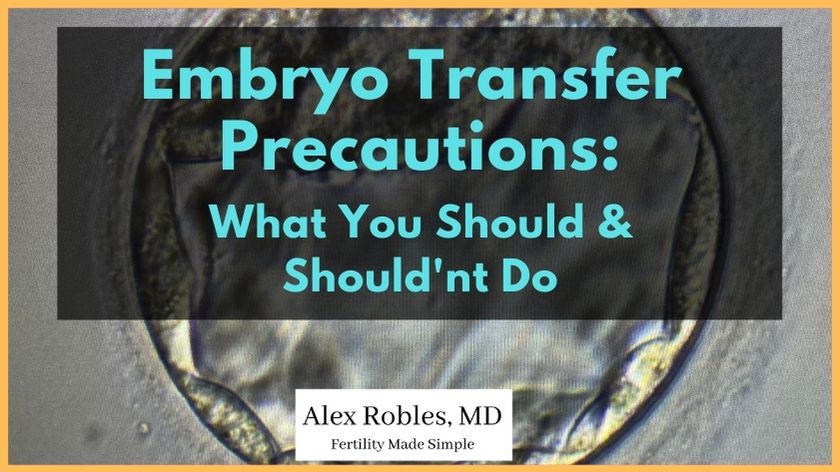 Embryo Transfer Precautions: What You Should & Shouldn’t Do- cover image