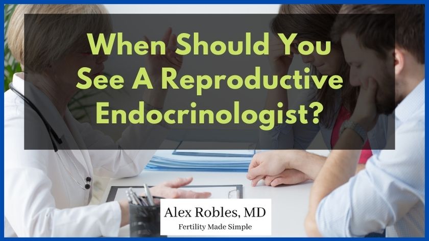 When Should You See A Reproductive Endocrinologist? [A Helpful Guide] cover image