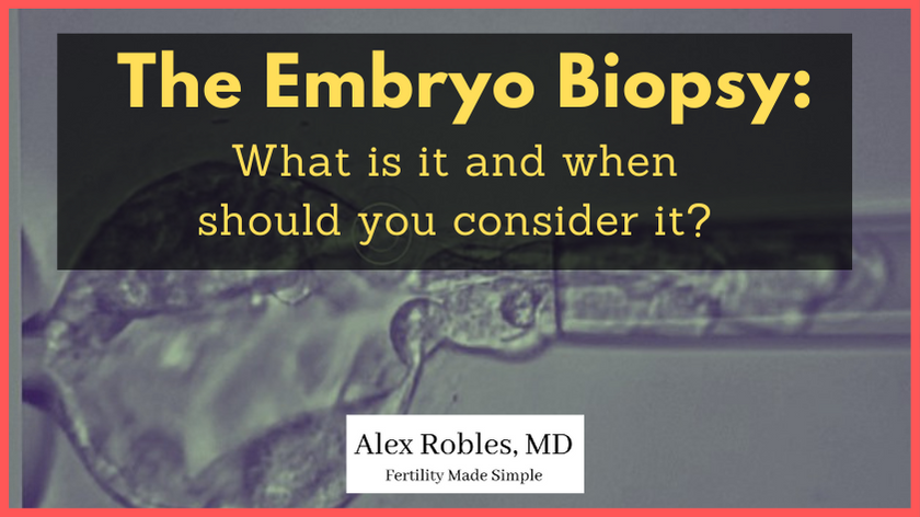 The Embryo Biopsy: Benefits, Risks, & When To Consider It- cover image