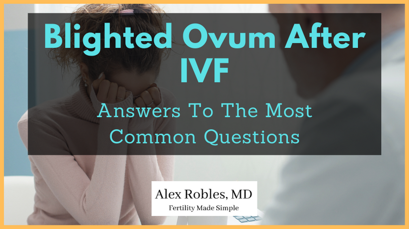 Blighted Ovum After IVF: 13 Questions You Want Answers To- cover image