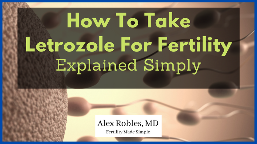 how to take letrozole for fertility cover image