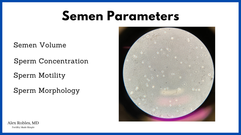 a picture of sperm under a microscope: "semen-analysis-parameters, semen volume, sperm concentration, sperm motility, and sperm morphology