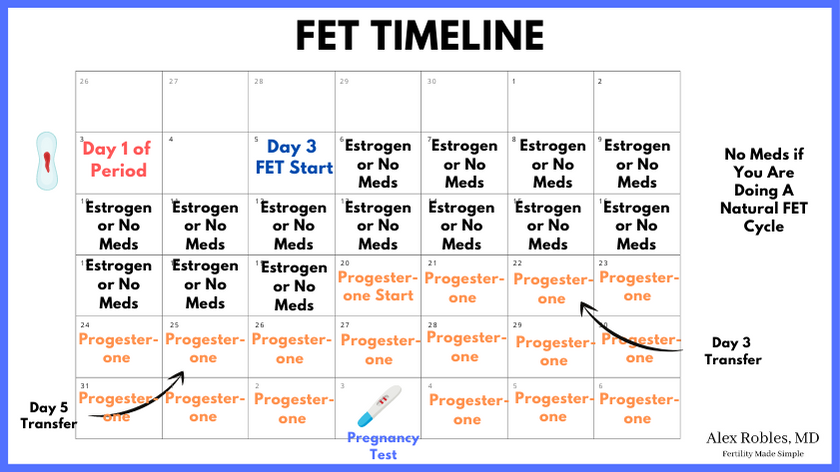30 day calendar showing the timeline of an FET cycle