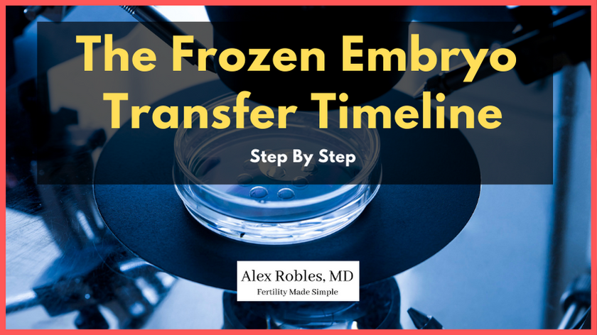 the Frozen-embryo-transfer-timeline cover image