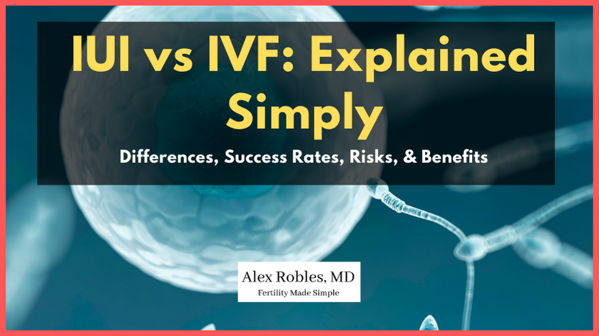iui-vs-ivf explained simply-cover-image