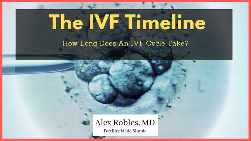 The ivf timeline; how long does an ivf cycle take - cover image