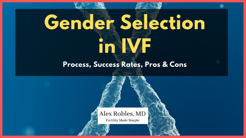 ivf gender selection cover image