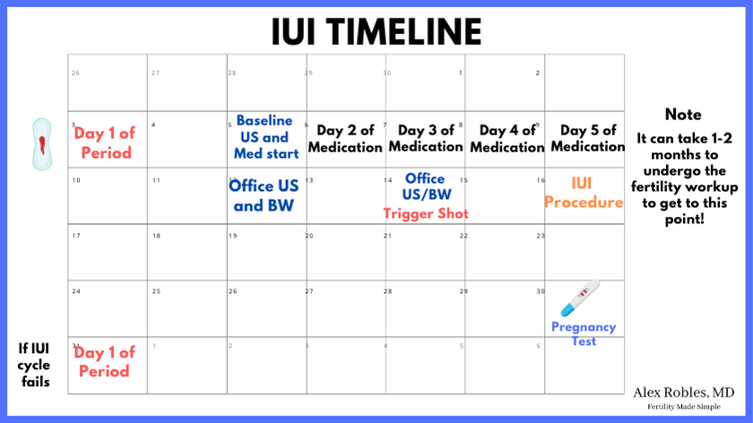 calendar depicting first day of periodalong with the day when iui starts and finish