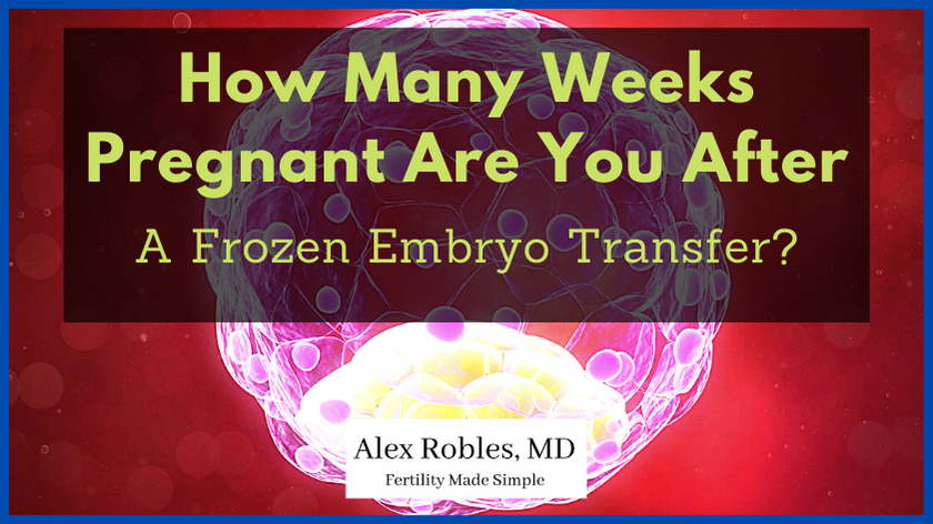 How Many Weeks Pregnant Are You After A Frozen Embryo Transfer cover image