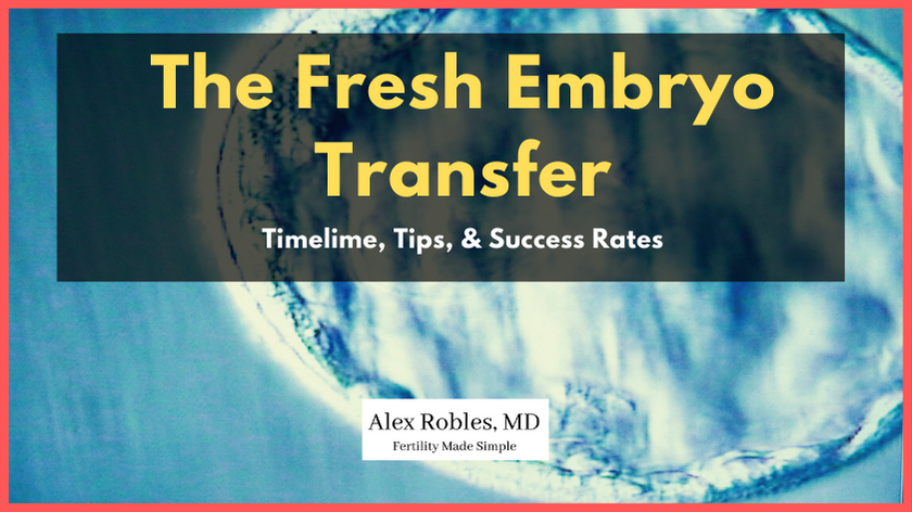 Fresh Embryo Transfer cover image