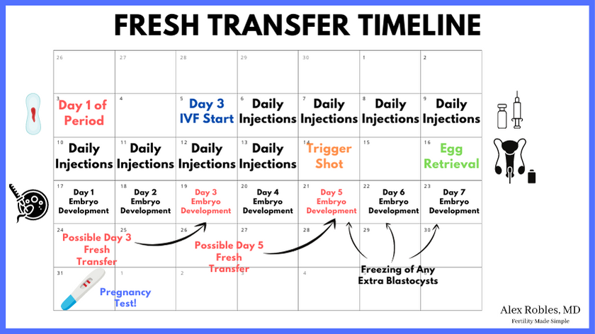 calendar depicting first day of period along with the start of ivf and when a fresh transfer would occur