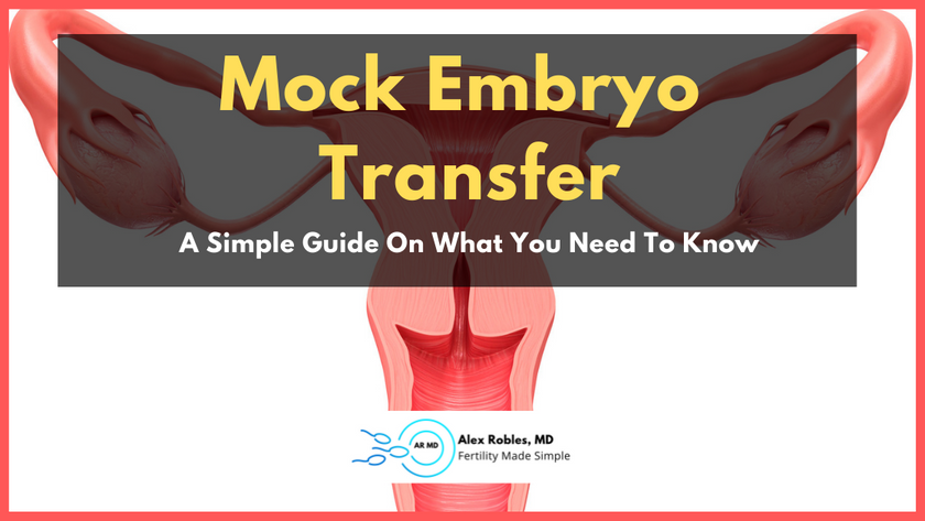 mock embryo transfer cover image
