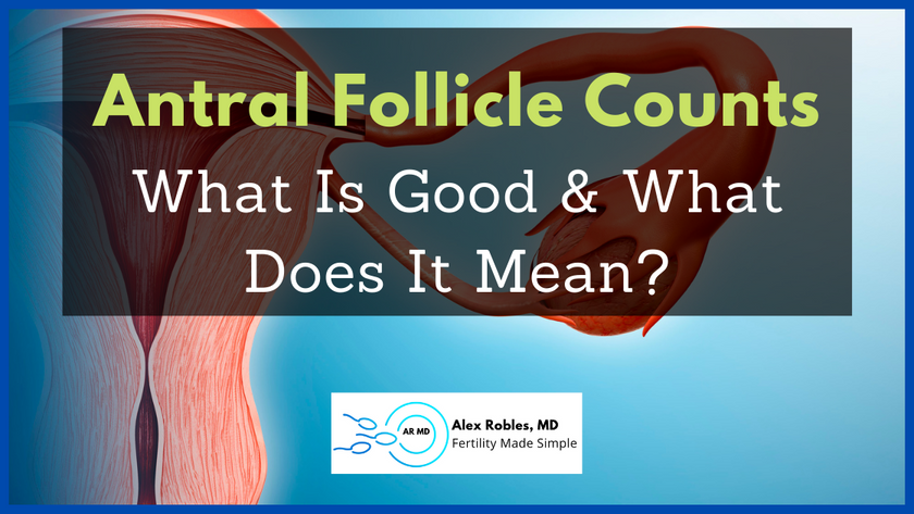 antral follicle count cover image