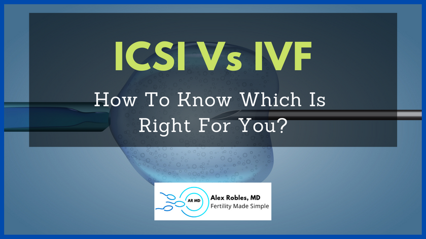icsi vs ivf cover image