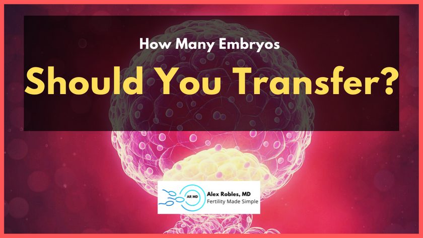 How many embryos should you trasnfer cover image