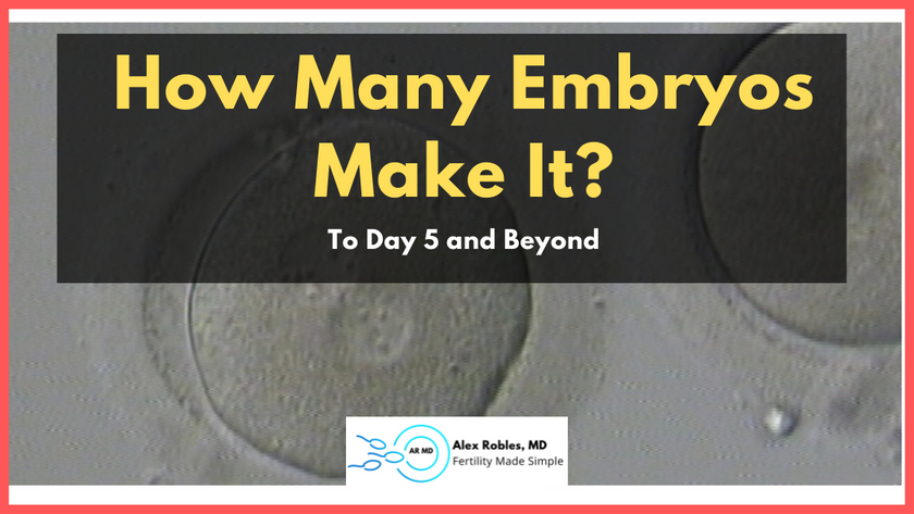 how many embryos make it- cover image