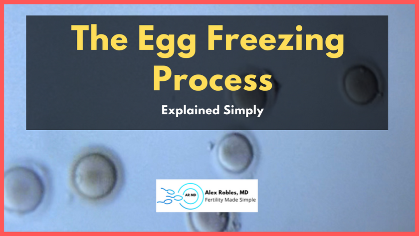 egg freezing process cover image