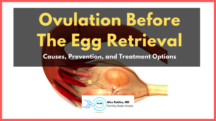 ovulation before egg retrieval cover image