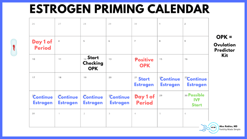 calendar showing a menstrual cycle in which estrogen is taken 7 days before the start of bleed